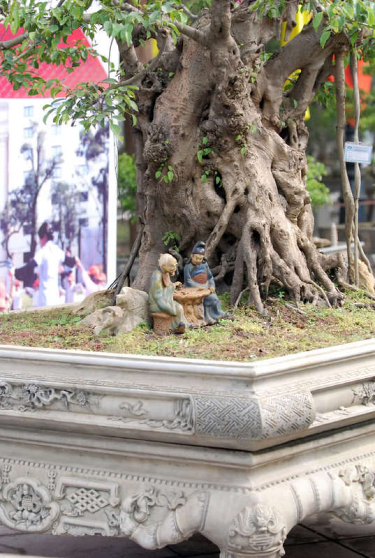 Chiều trên Bến Tầm Dương