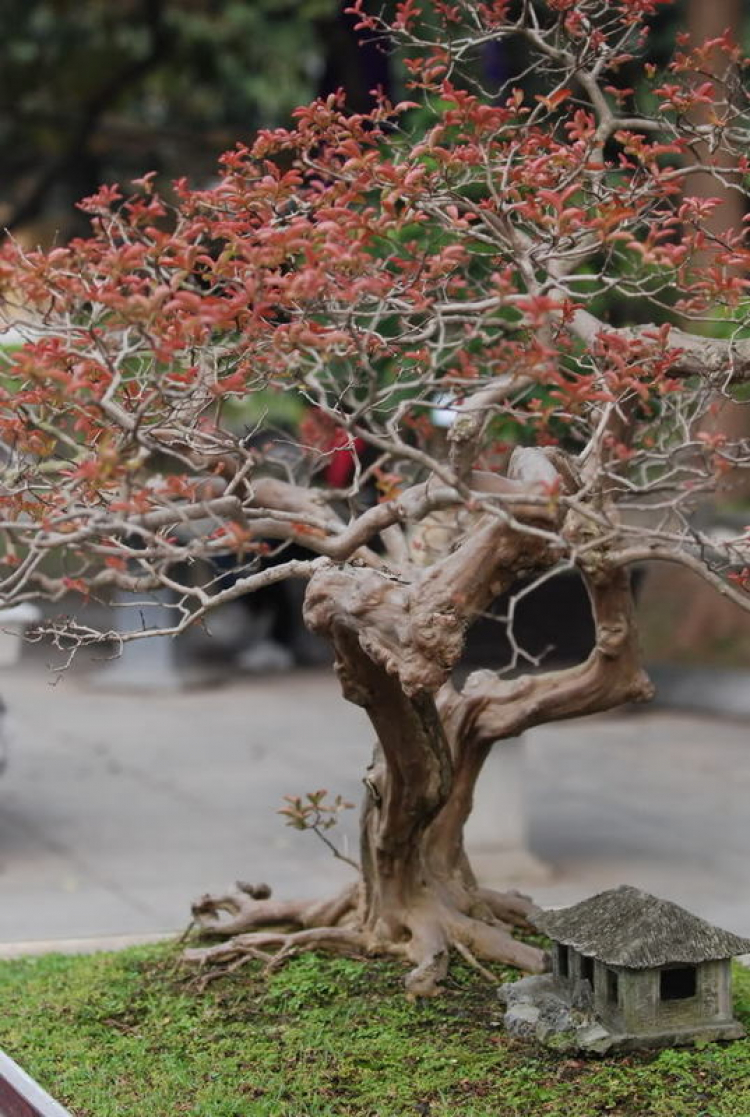 Chiều trên Bến Tầm Dương