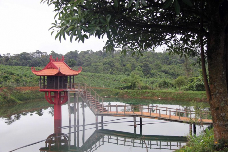Viếng chùa Di Đà mùa Vu Lan... Viếng chùa Di Đà mùa Vu Lan...