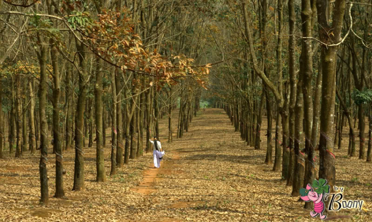 Em lại đi lung tung