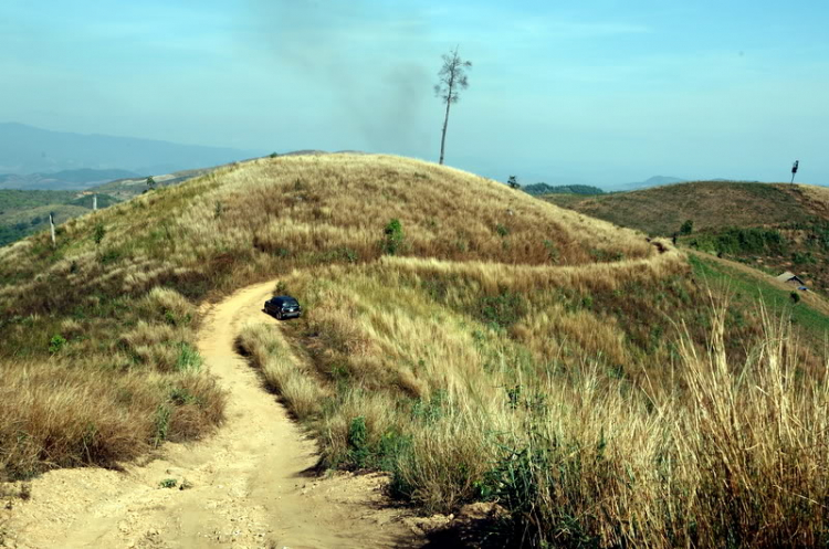 Em lại đi lung tung