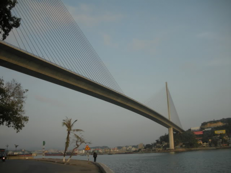 DU XUÂN DU XUÂN