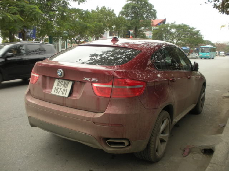 DU XUÂN DU XUÂN