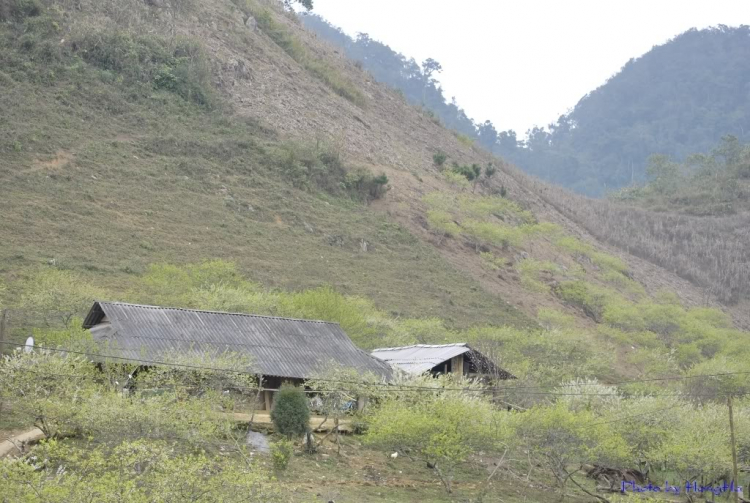 Phong cảnh thiên nhiên, con người Mộc Châu, Sơn La: