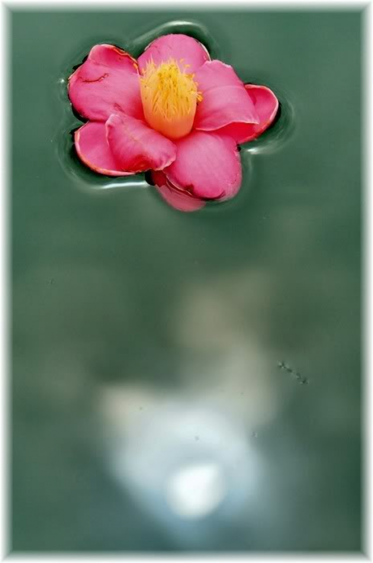 Chiều trên Bến Tầm Dương