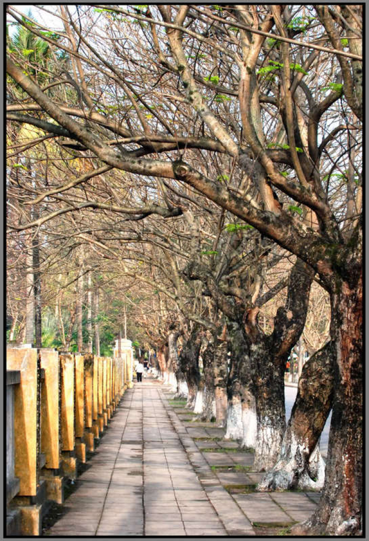Chiều trên Bến Tầm Dương