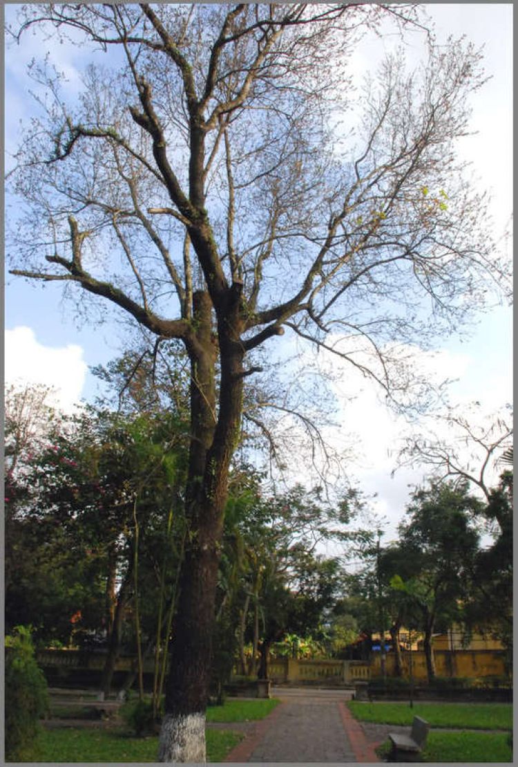 Chiều trên Bến Tầm Dương