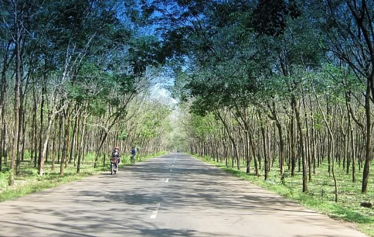 Thác Mai - Chuyến đi đầu năm của XNL - 2009 Thác Mai - Chuyến đi đầu năm của XNL - 2009