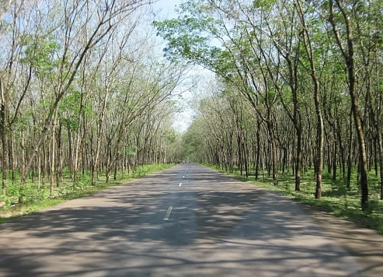 Thác Mai - Chuyến đi đầu năm của XNL - 2009 Thác Mai - Chuyến đi đầu năm của XNL - 2009