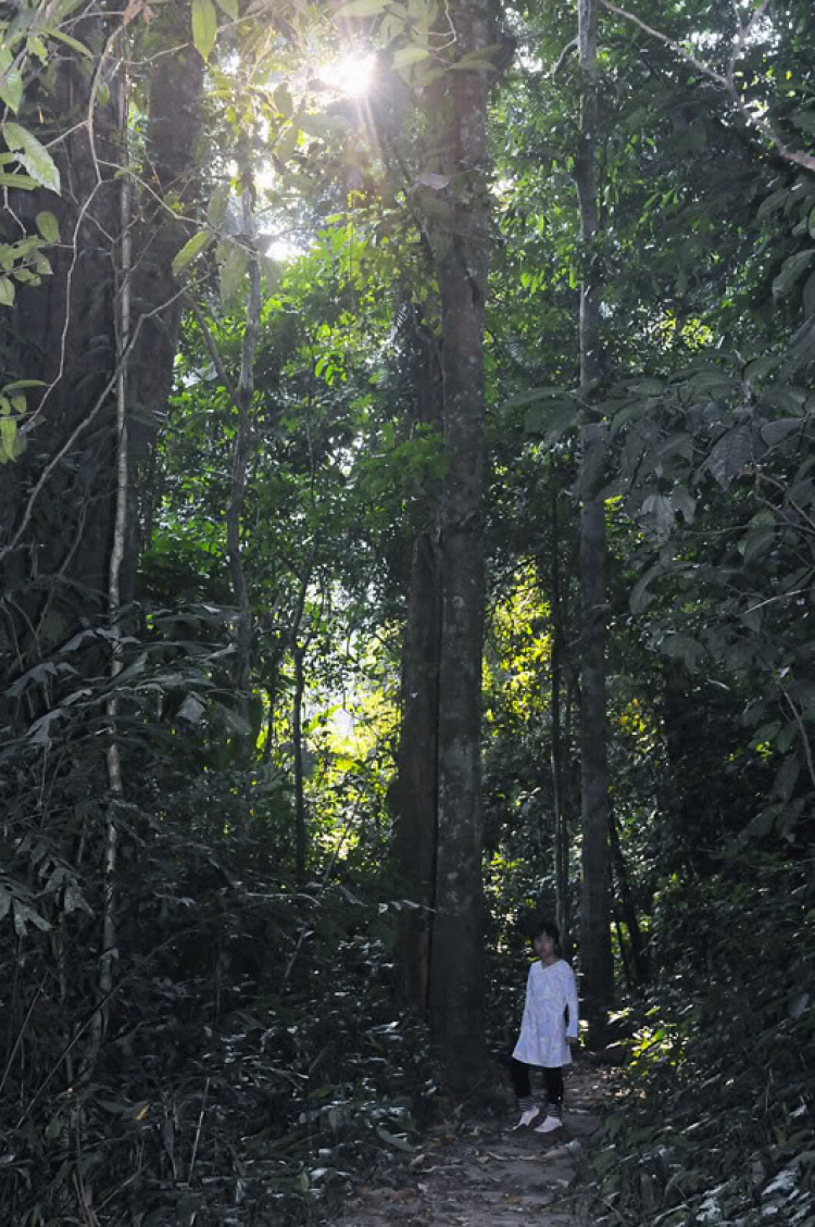Em lại lang thang