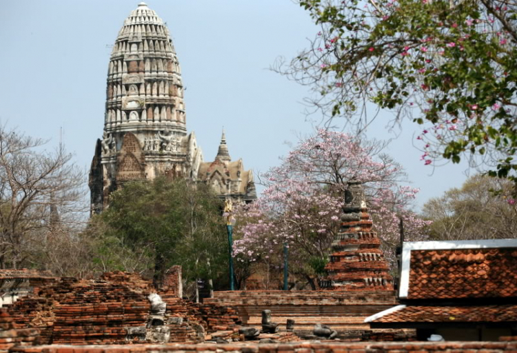 Em chơi đế chế.