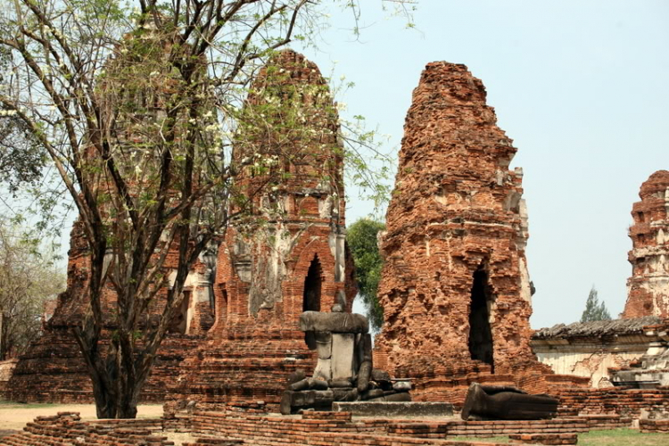 Em chơi đế chế.