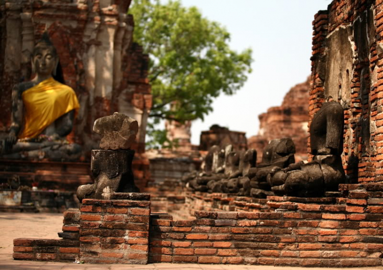 Em chơi đế chế.