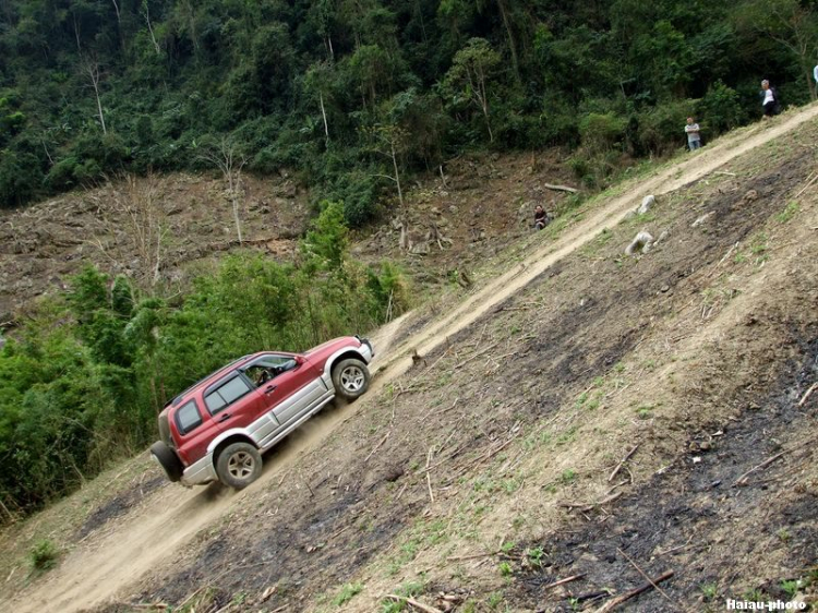 Bệnh mới của Vitara