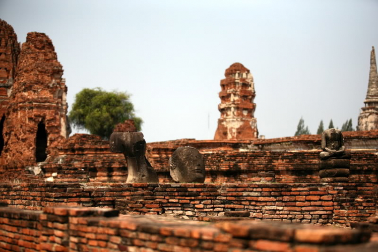 Em chơi đế chế.