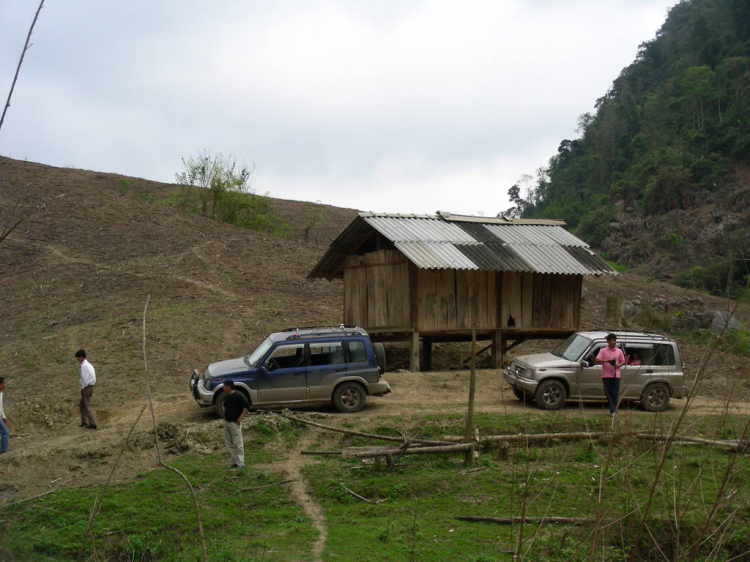 Bệnh mới của Vitara