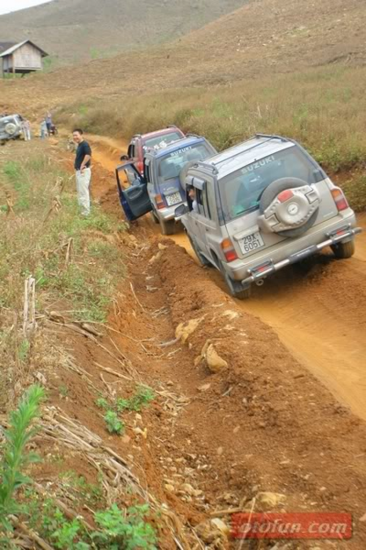 Bệnh mới của Vitara