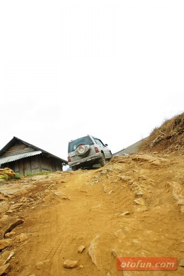 Bệnh mới của Vitara