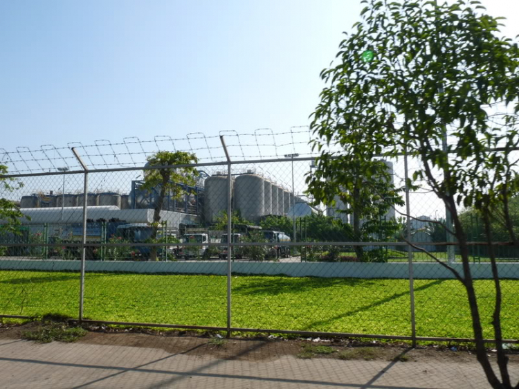 TFC mừng ngày Quốc tế Phụ nữ - CN, 8/3/2009 - Dã ngoại tại Villa H2O (HM)