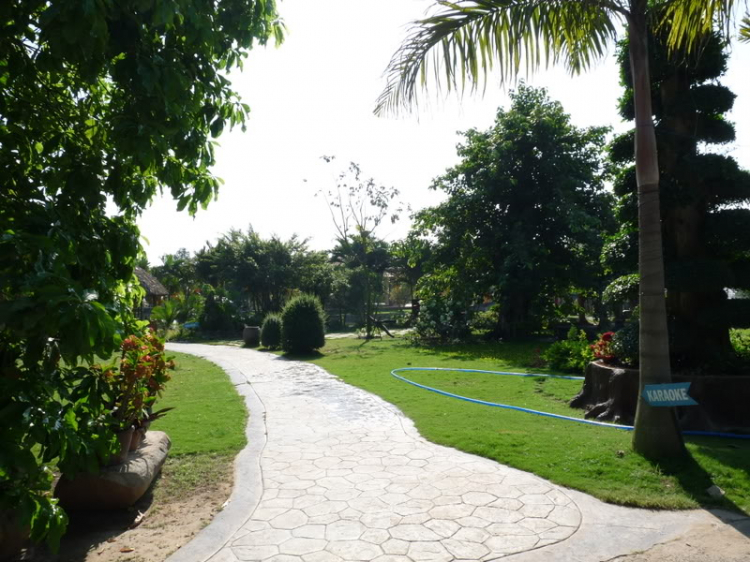 TFC mừng ngày Quốc tế Phụ nữ - CN, 8/3/2009 - Dã ngoại tại Villa H2O (HM)