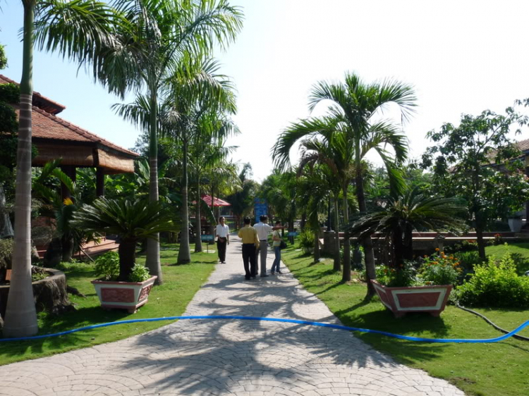 TFC mừng ngày Quốc tế Phụ nữ - CN, 8/3/2009 - Dã ngoại tại Villa H2O (HM)