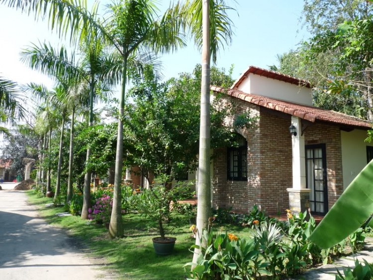 TFC mừng ngày Quốc tế Phụ nữ - CN, 8/3/2009 - Dã ngoại tại Villa H2O (HM)