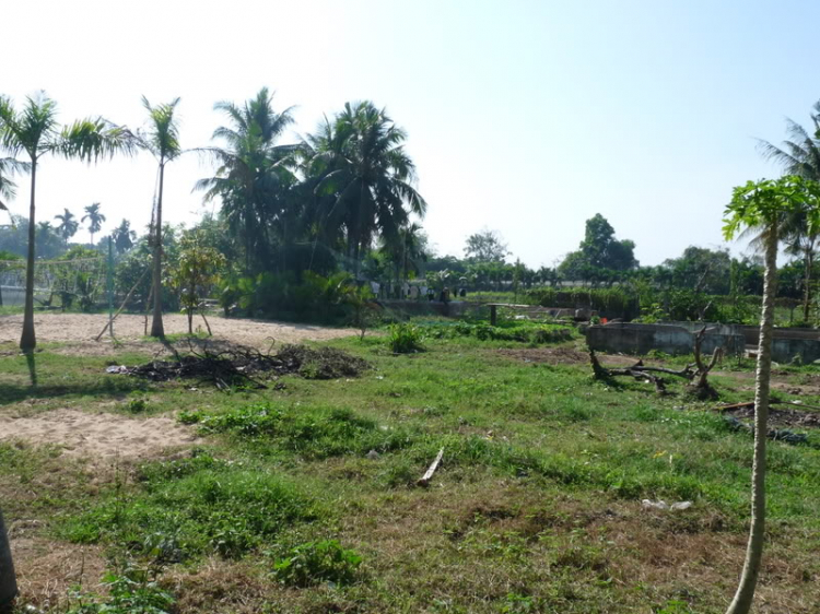 TFC mừng ngày Quốc tế Phụ nữ - CN, 8/3/2009 - Dã ngoại tại Villa H2O (HM)