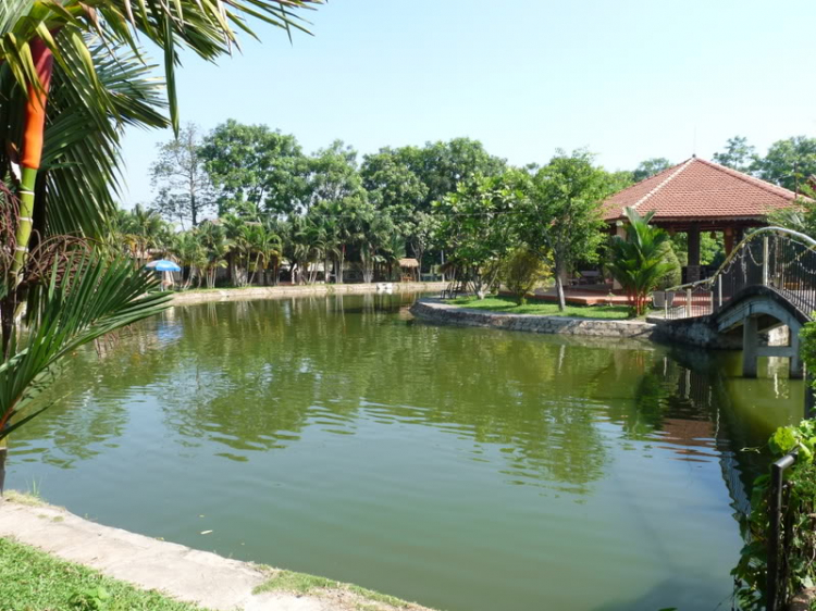 TFC mừng ngày Quốc tế Phụ nữ - CN, 8/3/2009 - Dã ngoại tại Villa H2O (HM)