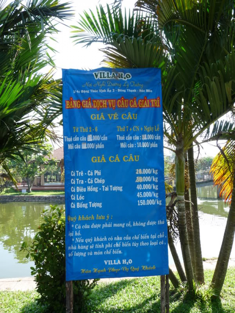 TFC mừng ngày Quốc tế Phụ nữ - CN, 8/3/2009 - Dã ngoại tại Villa H2O (HM)