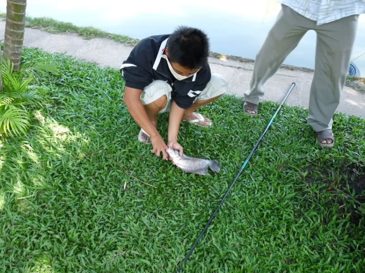 TFC mừng ngày Quốc tế Phụ nữ - CN, 8/3/2009 - Dã ngoại tại Villa H2O (HM)