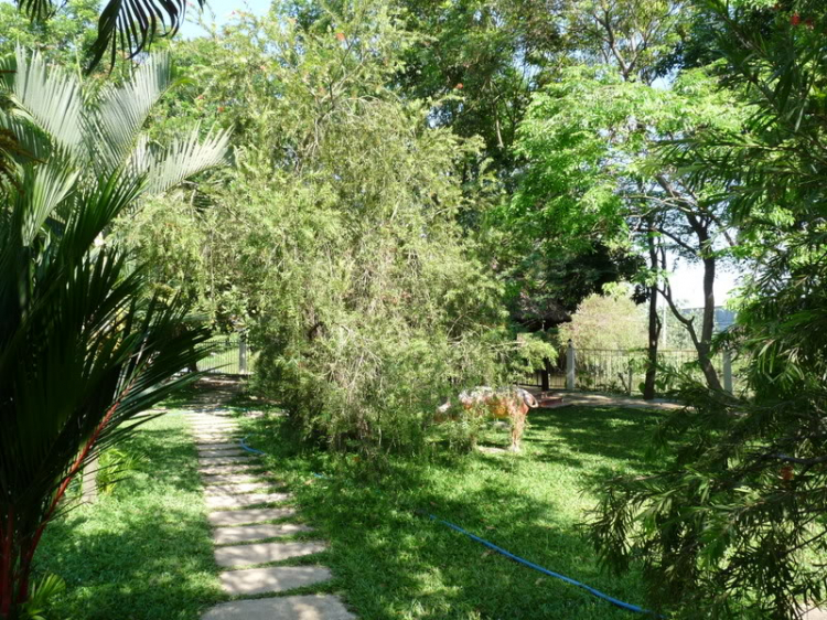 TFC mừng ngày Quốc tế Phụ nữ - CN, 8/3/2009 - Dã ngoại tại Villa H2O (HM)