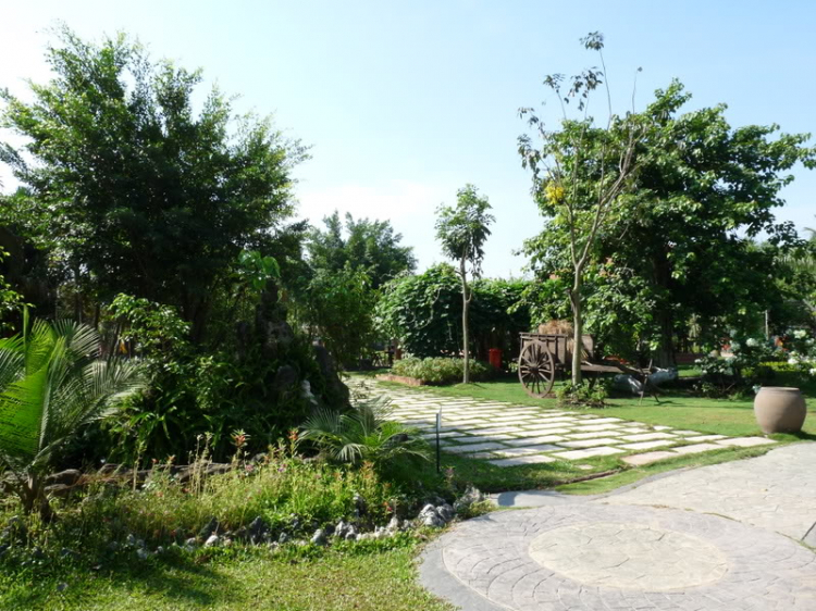 TFC mừng ngày Quốc tế Phụ nữ - CN, 8/3/2009 - Dã ngoại tại Villa H2O (HM)