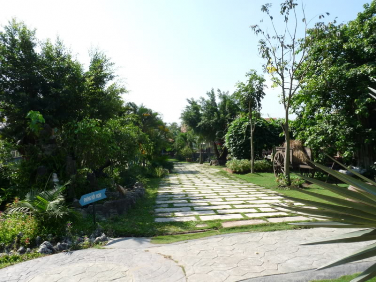 TFC mừng ngày Quốc tế Phụ nữ - CN, 8/3/2009 - Dã ngoại tại Villa H2O (HM)