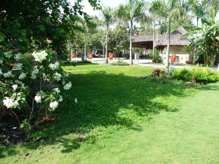TFC mừng ngày Quốc tế Phụ nữ - CN, 8/3/2009 - Dã ngoại tại Villa H2O (HM)