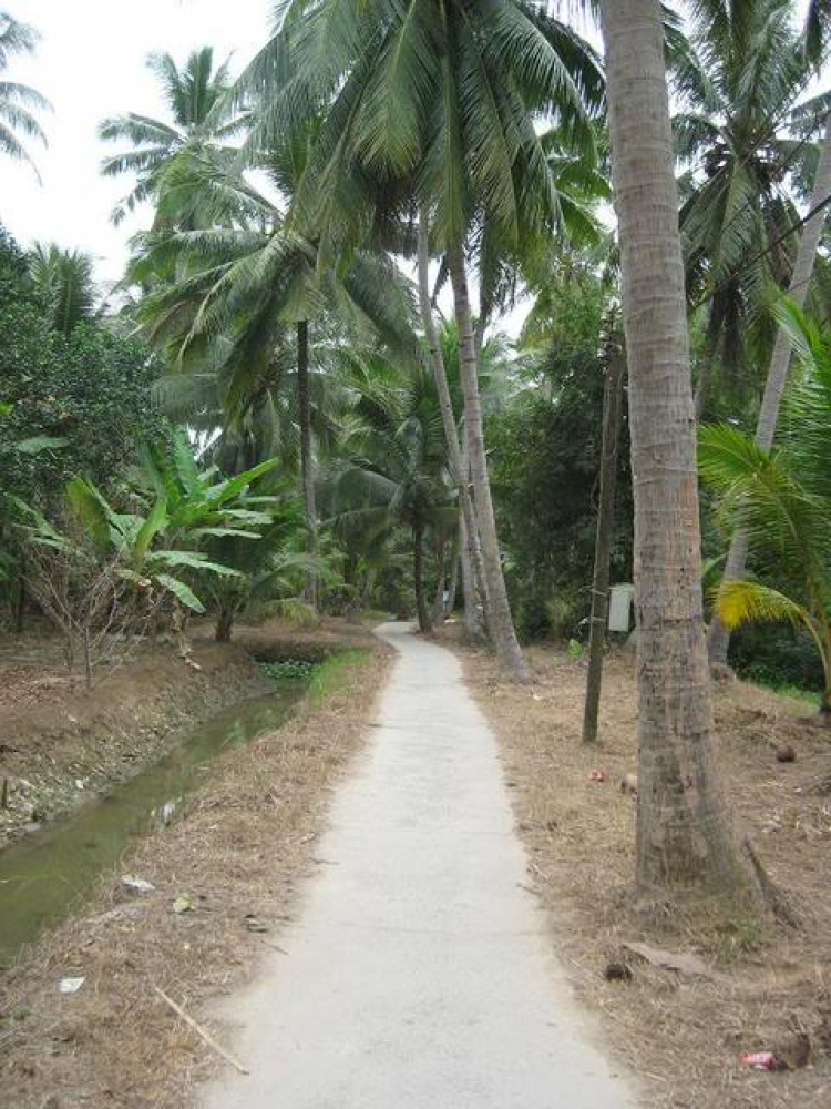 VỀ QUÊ. VỀ QUÊ.