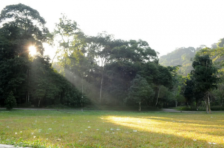 Em lại lang thang Em lại lang thang