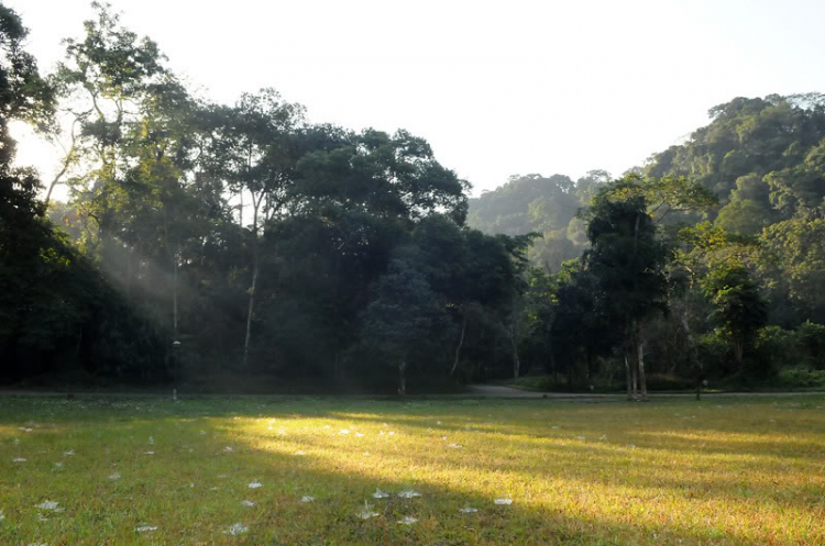 Em lại lang thang Em lại lang thang