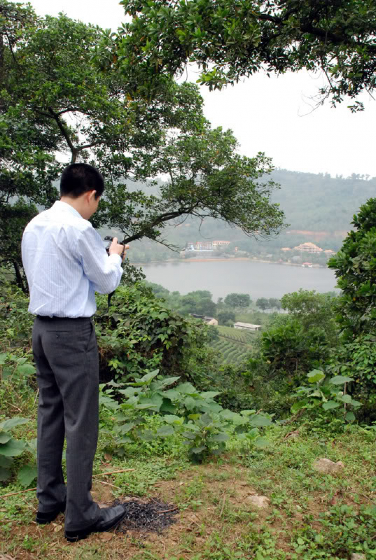 Em lại lang thang