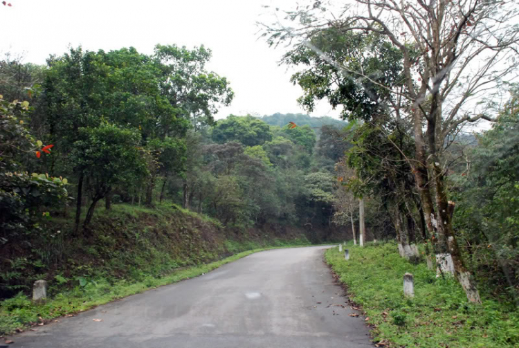 Em lại lang thang Em lại lang thang
