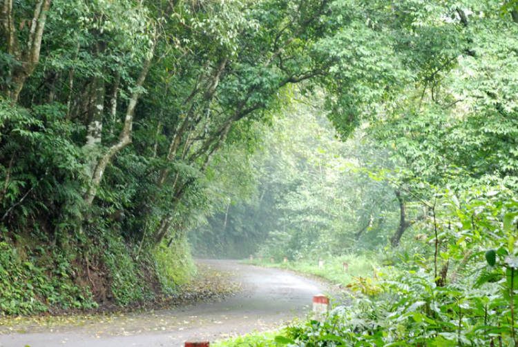 Em lại lang thang Em lại lang thang