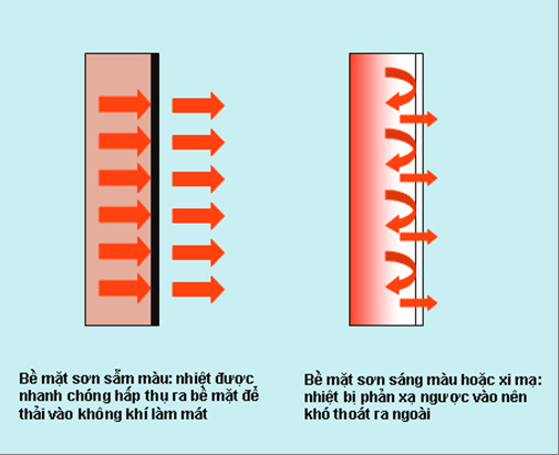 Hành trình tìm lại vẻ đẹp cho em Bọ!!!