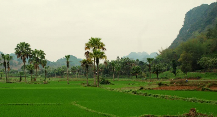 Từ Tuyên Quang đến Đà nẵng.