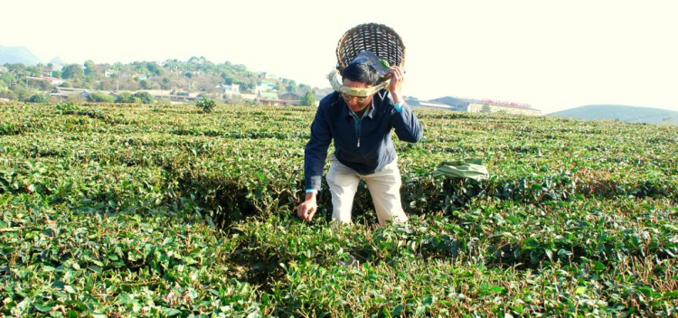 Từ Tuyên Quang đến Đà nẵng. Từ Tuyên Quang đến Đà nẵng.