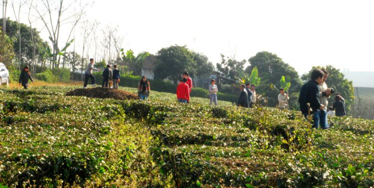 Từ Tuyên Quang đến Đà nẵng.