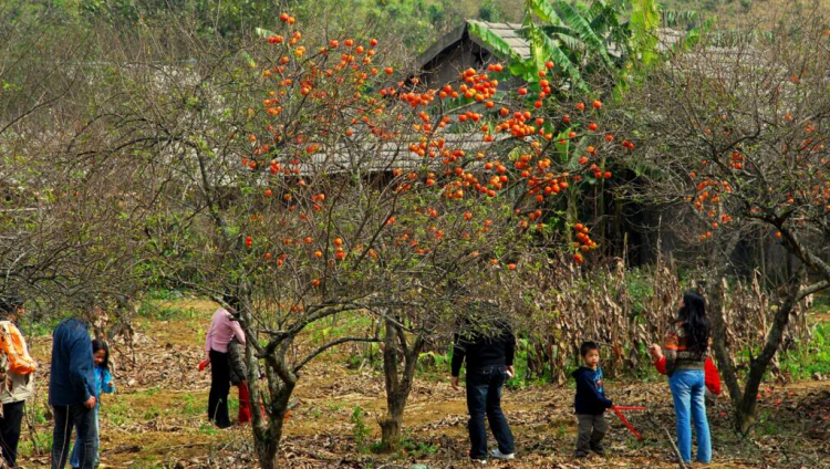 Từ Tuyên Quang đến Đà nẵng.