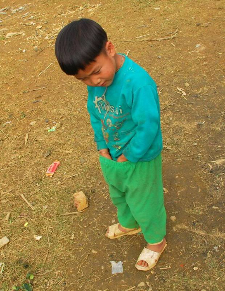 Từ Tuyên Quang đến Đà nẵng. Từ Tuyên Quang đến Đà nẵng.