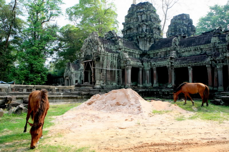 Em lại chơi ế ế