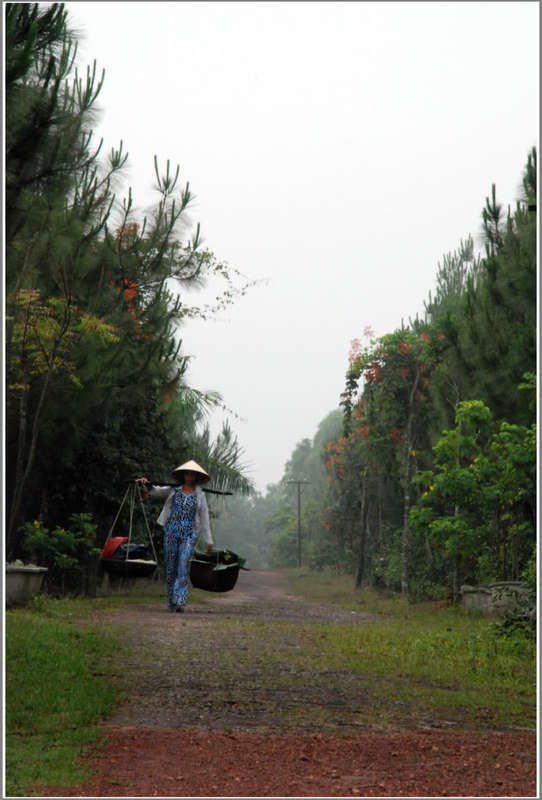 Em lại lang thang