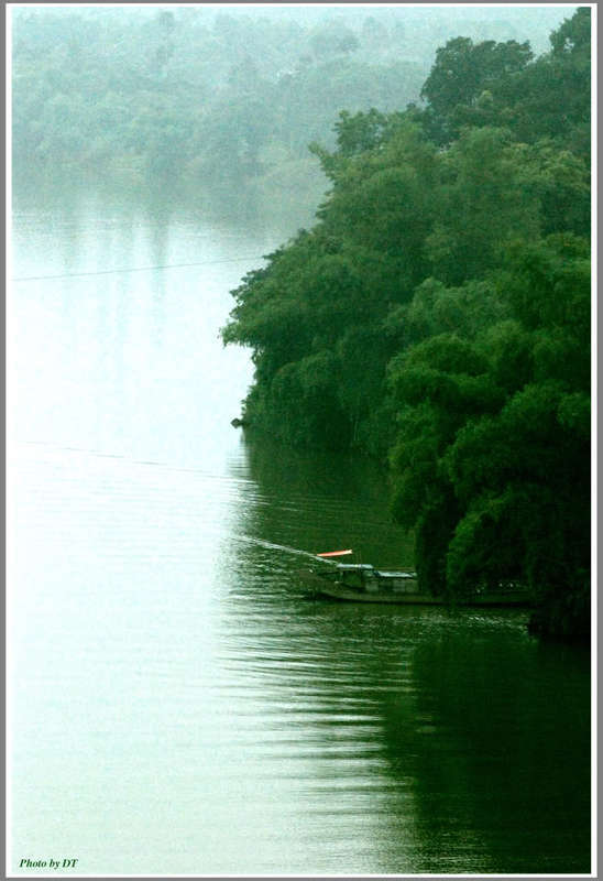 Em lại lang thang