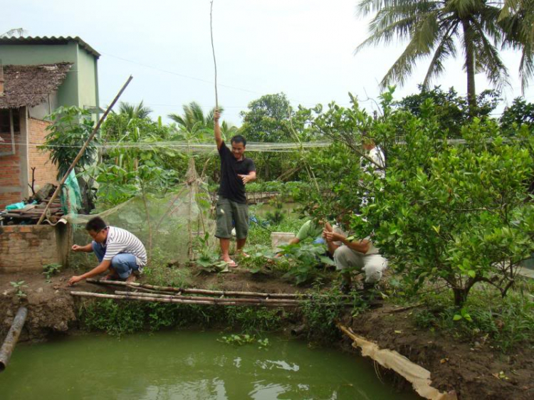 Phóng sự ảnh HFCer tại trang trại MỹTho/Trung Lương 01/05/09